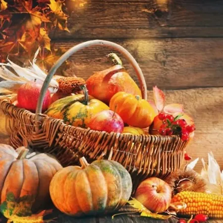 בית נופש Veermaster 1 *